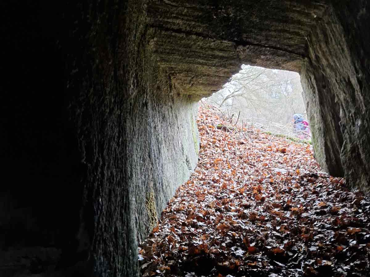 emotionale-heilung-aus-der-dunkelheit-ins-licht Blick aus einer dunklen Felsöffnung hinaus ins Licht – Metapher für seelische Heilung und Loslassen alter Wunden.