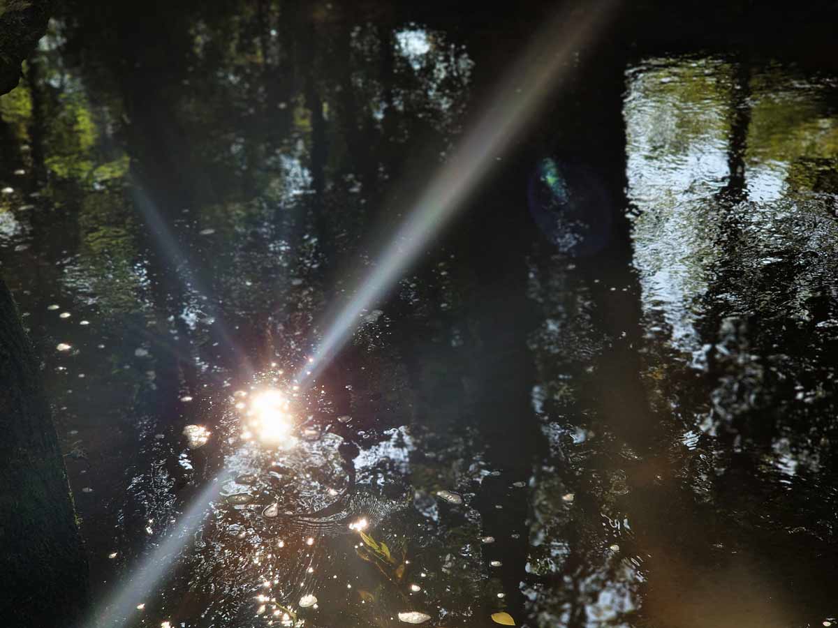 Lichtreflexion Wasser Spiegelung - emotionales Erbe sensible Menschen