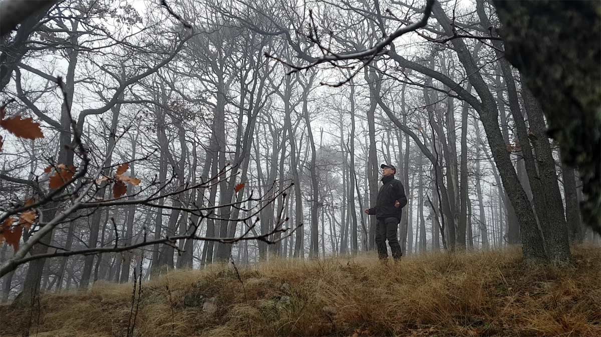Ein Mann steht im dunklen Winterwald und praktiziert neurogenes Zittern (Schütteltrance), um Stress abzubauen. Seine Haltung zeigt Hingabe und Loslassen.