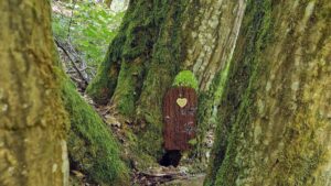 Kleine Holztür mit goldenem Herz zwischen moosbewachsenen Baumstämmen im Wald
