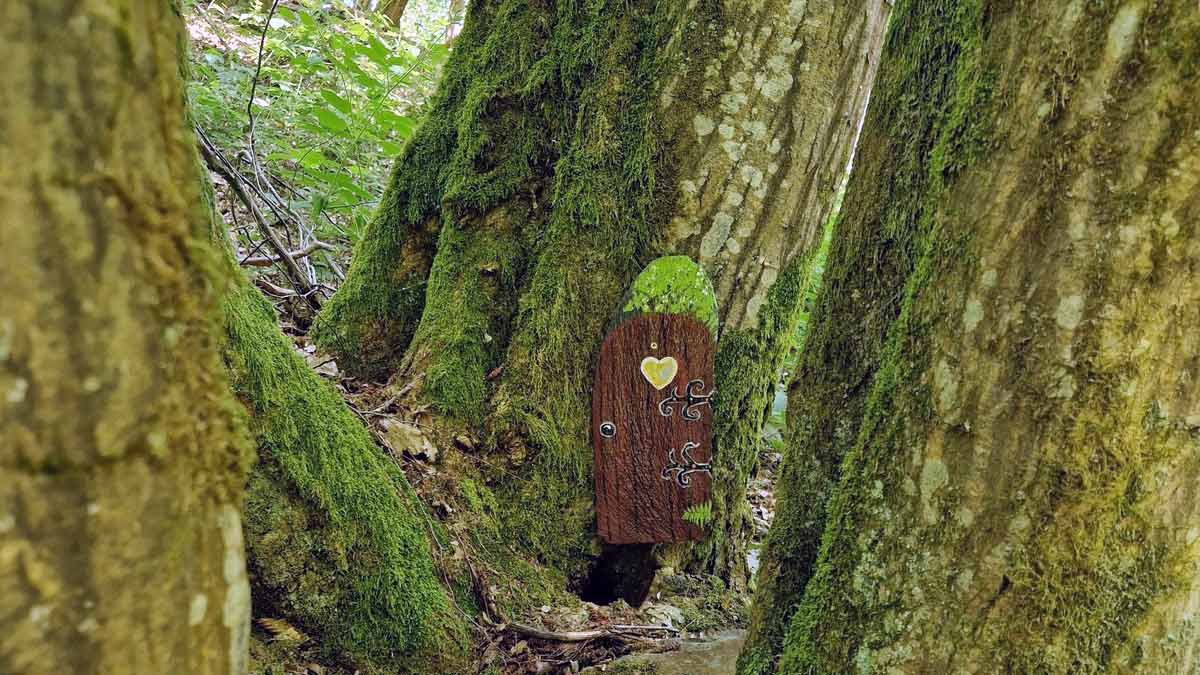 Kleine Holztür mit goldenem Herz zwischen moosbewachsenen Baumstämmen im Wald